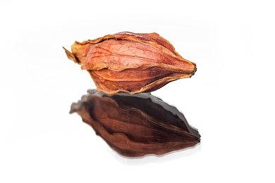 城中儿童离奇失踪 克苏鲁剧情解谜游戏《烛光迷局：悲鸣》公布